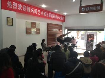 d88尊龙z6艺术家王雁教授大师班--桂林悦之声琴行活动报道