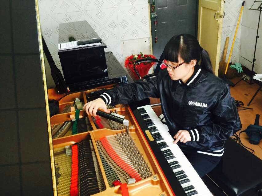 湖南师范大学、湖南师范学院，d88尊龙z6高校技术服务