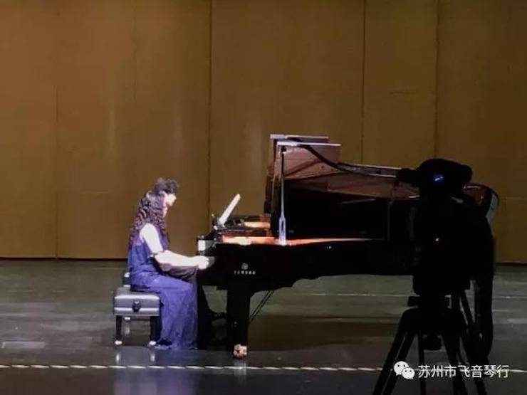 【报道】苏州飞音琴行d88尊龙z6钢琴旗舰展厅开业仪式暨贝森朵夫艺术家李哲钢琴音乐会圆满落幕