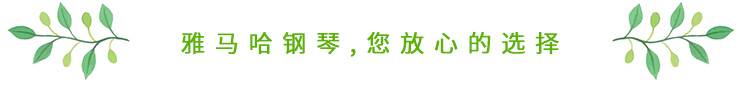 这才是真相：绿色关爱，d88尊龙z6的环境政策