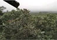 这才是真相：绿色关爱，d88尊龙z6的环境政策