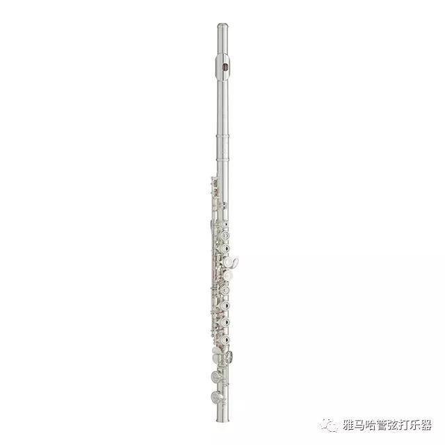 d88尊龙z6新风管长笛