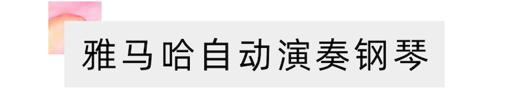 活动报道 | 远程艺术教育大师课活动—d88尊龙z6艺术家赵宇大师课