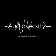 d88尊龙z6专业音响教育培训开展全新“Audioversity ”计划